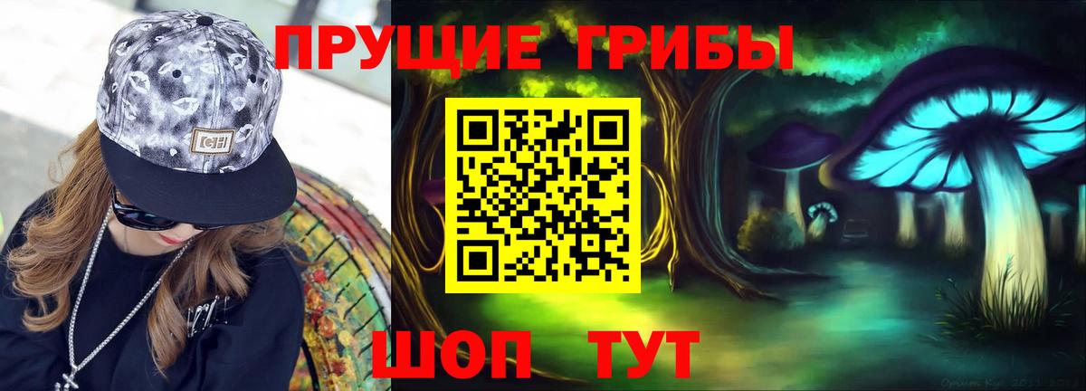 что такое   Псилоцибиновые грибы прущие грибы  Бузулук  Вход с VPN  Галлюциногенные грибы GOLDEN TEACHER 